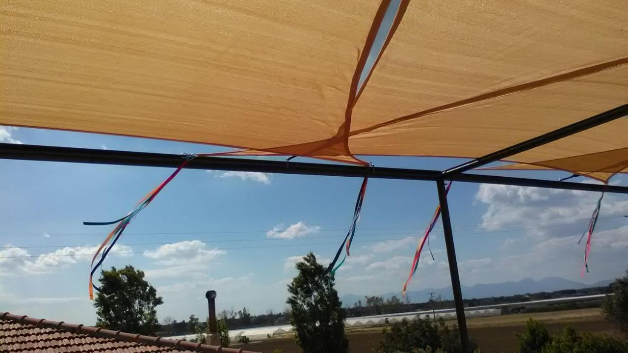 Casa Del Geco Bed & Breakfast Paestum Dış mekan fotoğraf