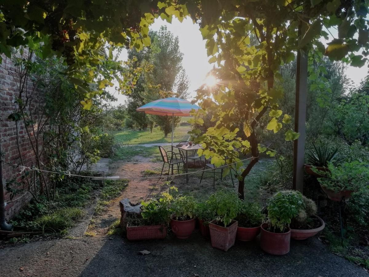 Casa Del Geco Bed & Breakfast Paestum Dış mekan fotoğraf