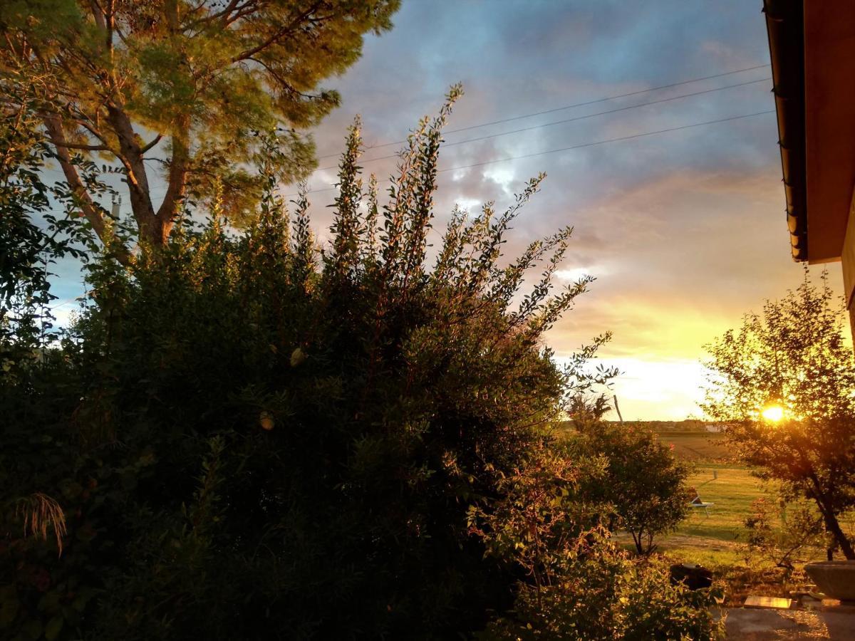 Casa Del Geco Bed & Breakfast Paestum Dış mekan fotoğraf